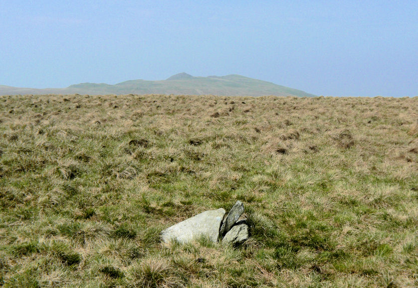 Hesk's summit Hesk's summit